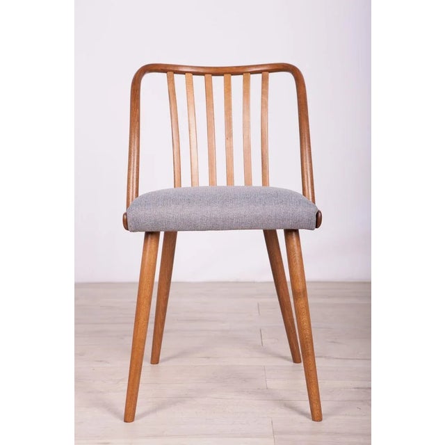 Gray Dining Chairs by Antonín Šuman for Ton, 1960s, Set of 4 For Sale - Image 8 of 18
