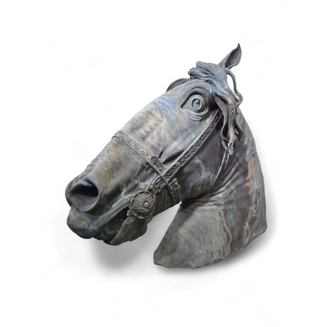 Gray Fernando Sánchez Castillo, Horse Head, 2004, Bronze For Sale - Image 8 of 15