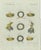 Bertuch, Ancient Crowns and Laurel Wreaths, C. 1800, Engraving For Sale - Image 9 of 9