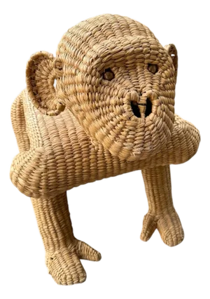 Mario Lopez Torres Monkey Bench