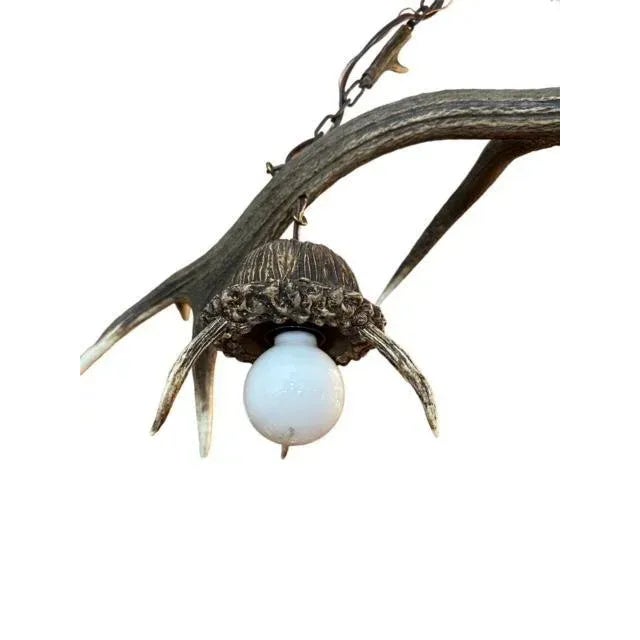 1940s 1940s Antler Chandelier For Sale - Image 5 of 6