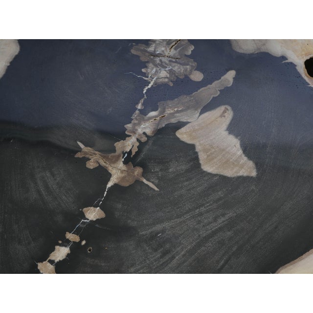 Early 21st Century Big Petrified Wood Side Table by Xyleia Petrified Wood For Sale - Image 5 of 8