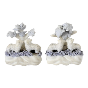 Miniature Bisque Staffordshire Lambs, a Pair