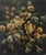 Small late 19th century oil on canvas board botanical painting of flowers, including roses. Unsigned. Unframed, has been...