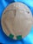 Vintage Needlepoint Cat in Old Mahogany Oval Frame For Sale In Panama City, FL - Image 6 of 6
