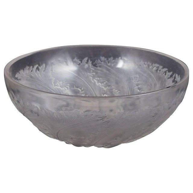 1930s Vintage Chicoree Bowl in Frosted and Polished Glass by René Lalique, 1930s For Sale - Image 5 of 5
