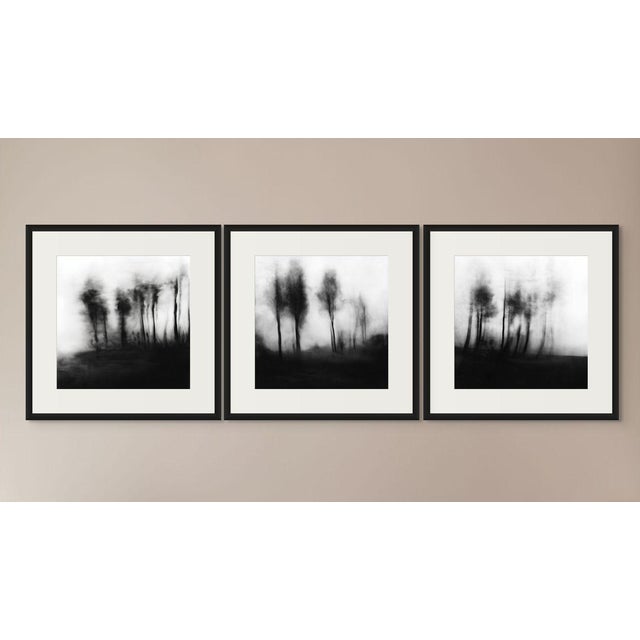 Contemporary Blurred Landscape No. 3 - Original Black and White Photography | Unframed For Sale - Image 3 of 3