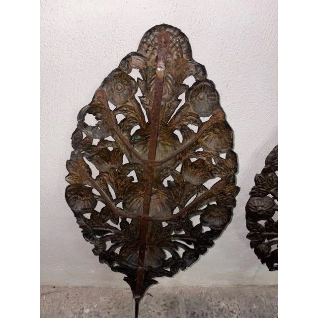 Antique Palm Trees, 1800, Set of 2 For Sale - Image 9 of 12