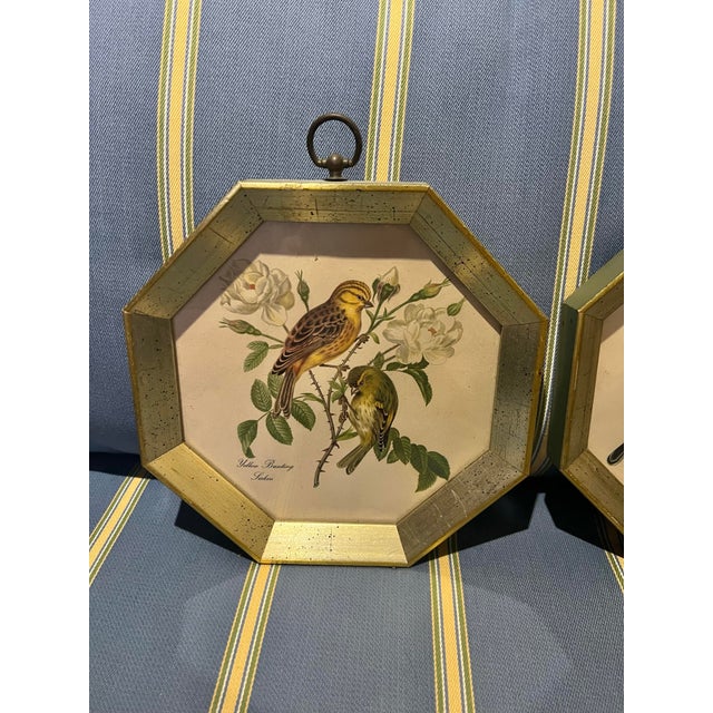 Mid-Century Modern Vintage Pair of Bird Prints in Octogon Shaped Frame -2 For Sale - Image 3 of 8
