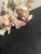 Shell 5” Natural Stony Coral Specimen From the Scleractinia Order For Sale - Image 7 of 9