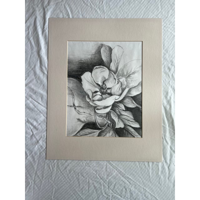Traditional Pencil Drawing of a Magnolia Flower For Sale - Image 3 of 6