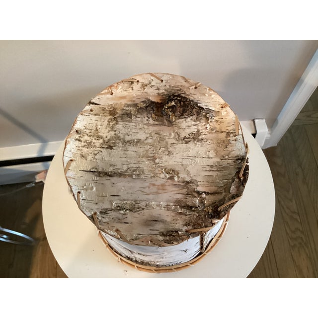 Wood Large Birchbark Wastebasket in the Style of Baskets Made by Native American Arts and Crafts For Sale - Image 7 of 15