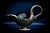 1940s Art Deco Zoomorphic Patinated Bronze Ewer with Swan Handle by Max Le Verrier, France, 1925-1935 For Sale - Image 5 of 11