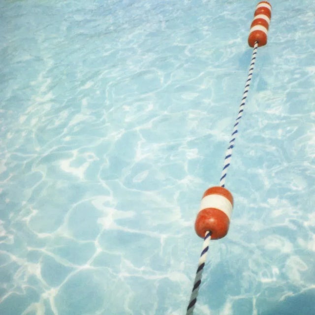 Contemporary Ropes by Alicia Bock Print with White Frame - 32 X 32 For Sale - Image 3 of 3