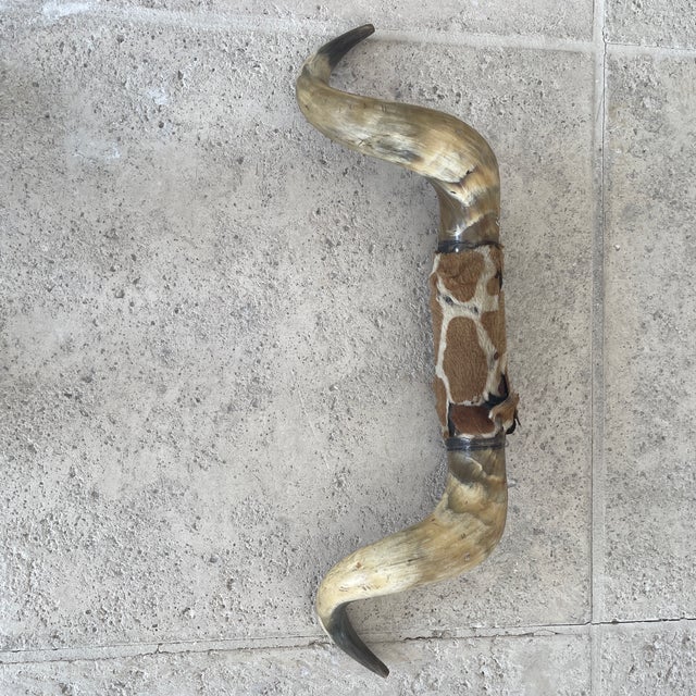 Mid 20th Century Vintage Bull Horns With Wood & Skin For Sale - Image 5 of 8