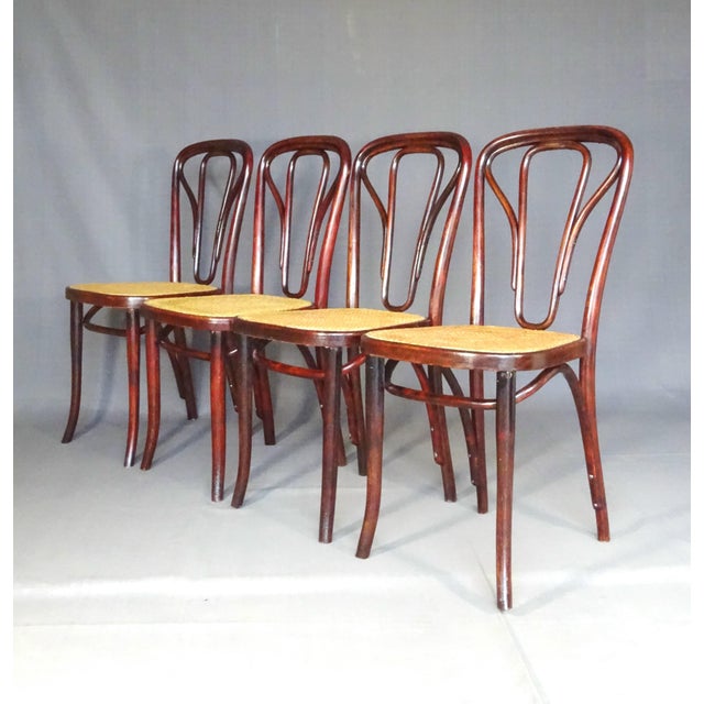 Vienna Secession No. 643 Chairs by Michael Thonet for Gebrüder Thonet, 1915, Set of 4 For Sale - Image 9 of 18