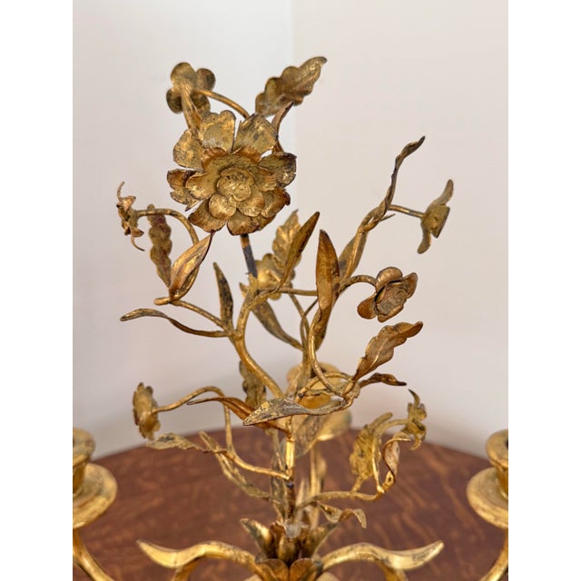 French Provincial Italian Rococo Gold Gilt 5 Arm Candelabra For Sale - Image 3 of 12