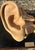 Medical Eviscerated Ear after Deyrolle, 1960 For Sale - Image 10 of 11