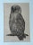 Arts & Crafts Owl Woodblock Letterpress Print Signed by Susan Acker, C. 1975 For Sale - Image 3 of 12