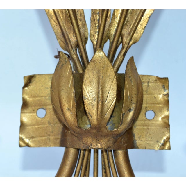 Pair of Rush Ferrocolor Sconces, Wall Lights Spain 1960 For Sale - Image 10 of 13