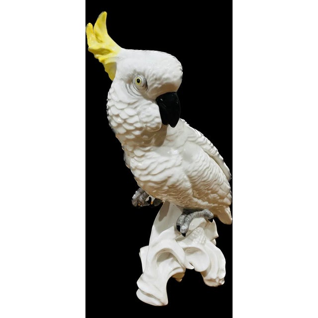 This elegant MidCentury Modern fine bone China Cockatoo was designed by T.J. Jones for Staffordshire Circa 1950 It...