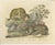 Karl Joseph Brodtmann, Jaguar & Cougar, 1816, Lithograph For Sale - Image 9 of 9