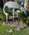 1920s Monumental Pair of Life-Size Bronze Crane Garden Sculptures With Verdigris... For Sale - Image 11 of 18