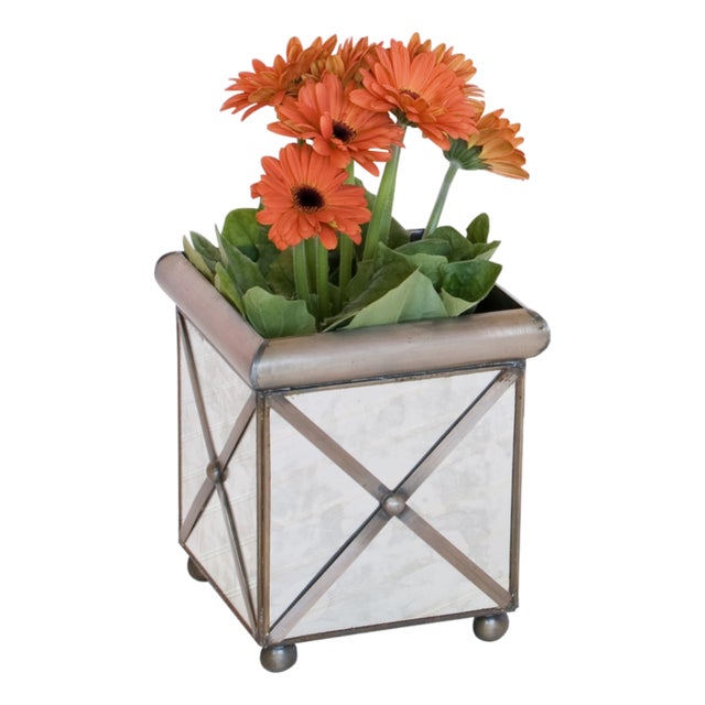 Matthew Izzo Home Small Square Antique Mirror Crosshatch Planter For Sale