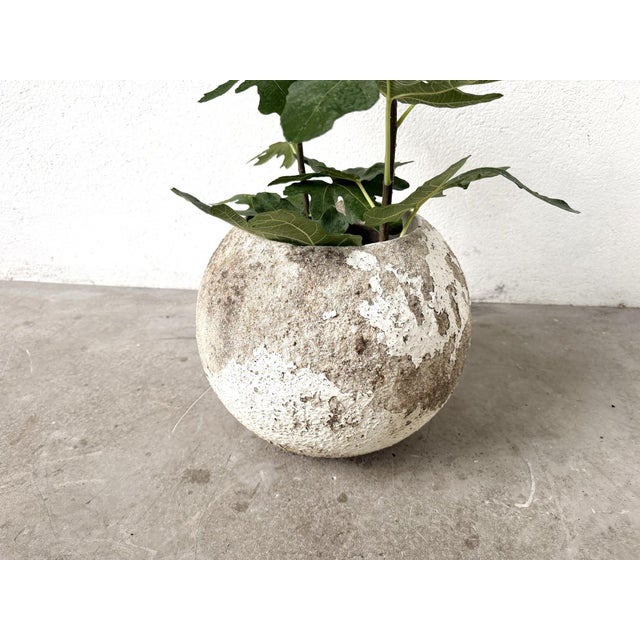 Maison Lecan presents this spherical fiber cement planter from the 1960s-70s, reminiscent of the outdoor pieces designed...