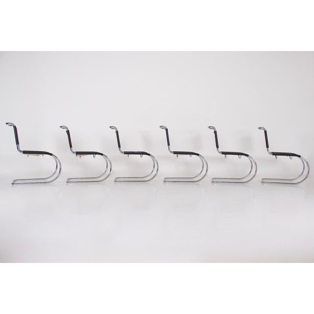 MR 10 Chairs by Mies van der Rohe for Thonet, 1960s, Set of 6 For Sale - Image 4 of 16