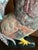 Vintage Late 20th Century Large Hand Carved/Hand Painted Folk Art Rooster For Sale - Image 9 of 12