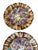 1960s Italian Hand Painted Floral Dinner Plates- a Set of 6 For Sale In New York - Image 6 of 11
