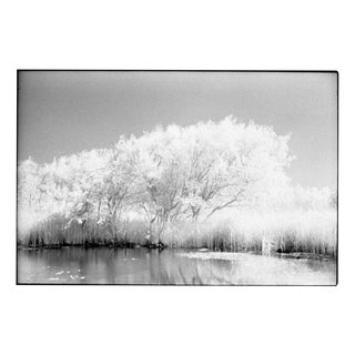 Paul Cooklin, Lake, Dunwich Heath (Infrared), Edition of 50 For Sale