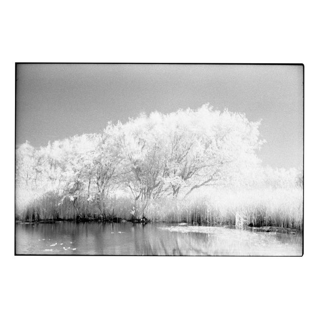 Paul Cooklin, Lake, Dunwich Heath (Infrared), Edition of 50 For Sale