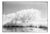 Paul Cooklin, Lake, Dunwich Heath (Infrared), Edition of 50 For Sale