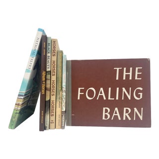 Mid 20th Century Horse Books for Children - 7 Pieces For Sale