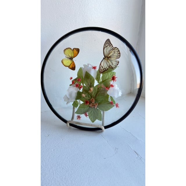 Orange Vintage 1970s Framed Butterfly and Botanical Topiary For Sale - Image 8 of 8