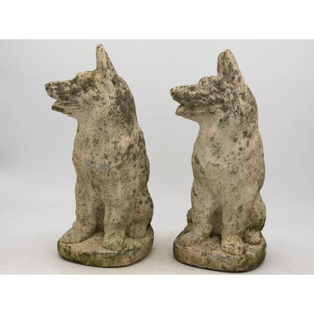 1960s Pair of Concrete Shepherd Dogs, English Mid 20th Century For Sale - Image 5 of 9