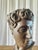 Classical Terracotta Bust, 1960s For Sale - Image 18 of 18