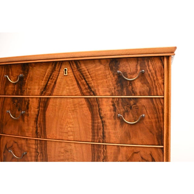 Brown Vintage Danish Walnut and Brass Chest of Drawers, 1960s For Sale - Image 8 of 11