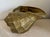 Metal Large Vintage Brass Conch Seashell Planter For Sale - Image 7 of 11