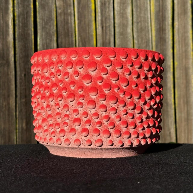 Designed and manufactured by Oakland artist Justin Kiene, these organic planters and vases are inspired by the shapes of...