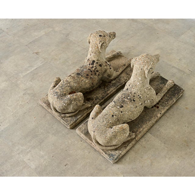 Early 20th Century English Pair of Cast Stone Whippet Garden Statues For Sale - Image 12 of 12