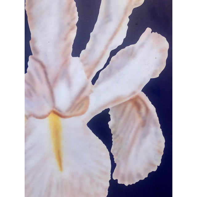 Early 20th Century Clarence Measelle, Photorealism Still Life Acrylic Painting Flower Photo Realist Orchid, Vivid Blue For Sale - Image 5 of 11