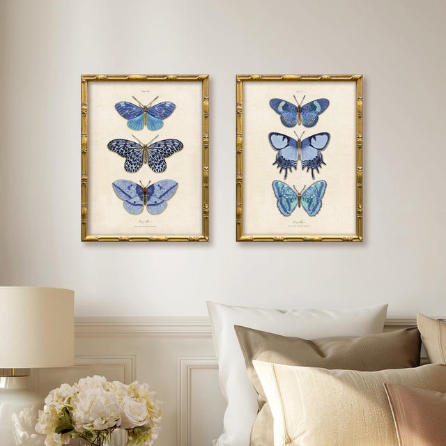 This is a set of two framed giclee prints from our "Vintage Blue Butterfly" series. Save on shipping by ordering both...