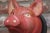 Wood Vintage German Carved and Painted Black Forest Pig Mounted Wall Sculpture For Sale - Image 7 of 10