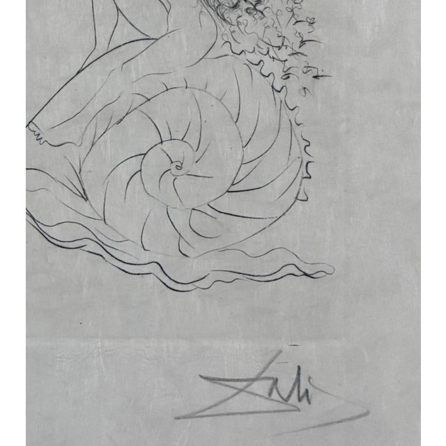 Dali Escargot Hand Signed Numbered Etching Surreal Rare Art For Sale - Image 4 of 5