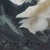 Contemporary Roses II by Jon Doran | Oil on Panel Small White Roses Still Life For Sale - Image 4 of 9