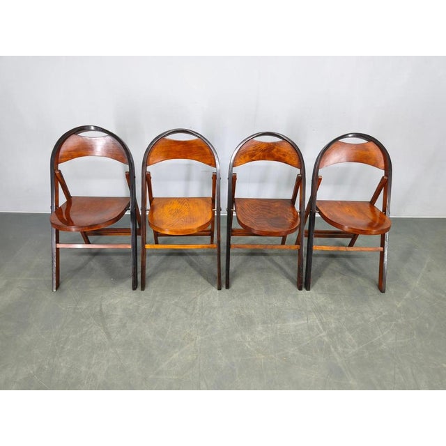 1930s Bauhaus B751 Folding Chairs from Ligna, Czechoslovakia, 1930s, Set of 4 For Sale - Image 5 of 14