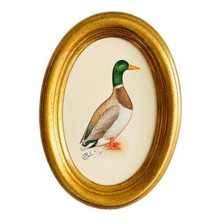 Original Hand-Painted Mallard Miniature Painting in an Italian Vintage Frame For Sale